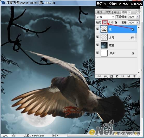 Photoshop照片合成教程:黑夜中飞翔的鸽子