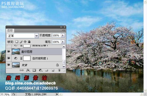 photoshop教程:调出梦幻景色效果