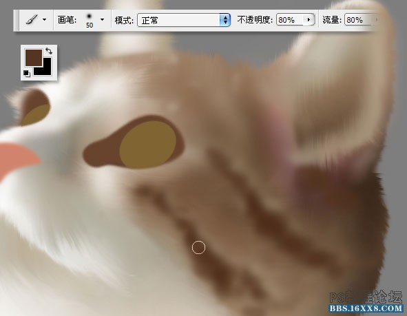 PS毛绒质感写实案例鼠绘小猫制作详解