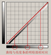 图文讲解Photoshop曲线的用法