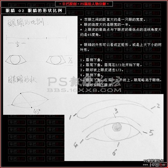 photoshop鼠繪眼睛的詳細步驟