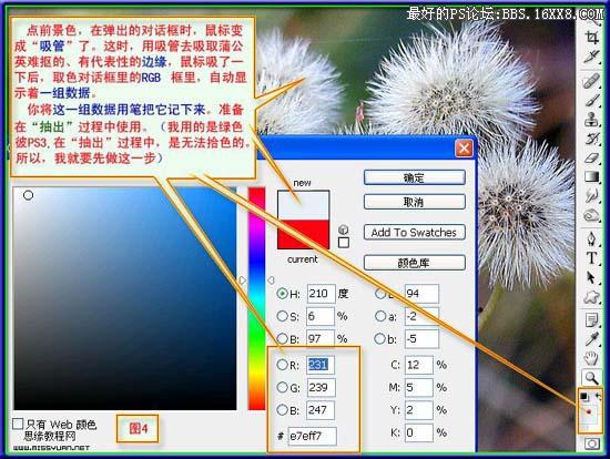 用抽出濾鏡摳蒲公英