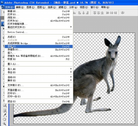 Photoshop cs4教程：抽出滤镜应用