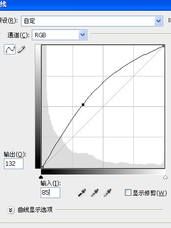 Photoshop调色教程:冷艳的绿色效果