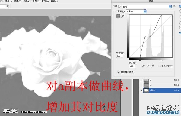 ps教程:LAB通道如何抠图