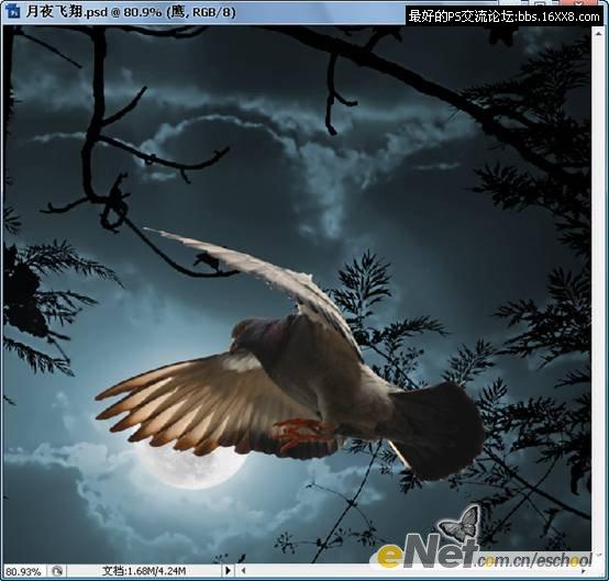 Photoshop照片合成教程:黑夜中飞翔的鸽子