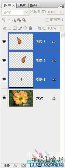 photoshop如何做挥动翅膀的蝴蝶GIF动画