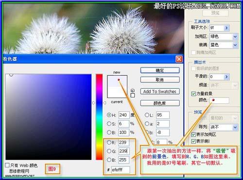 用抽出濾鏡摳蒲公英