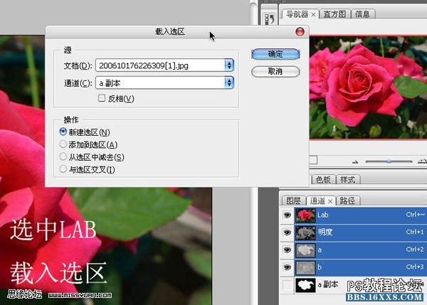 ps教程:LAB通道如何摳圖