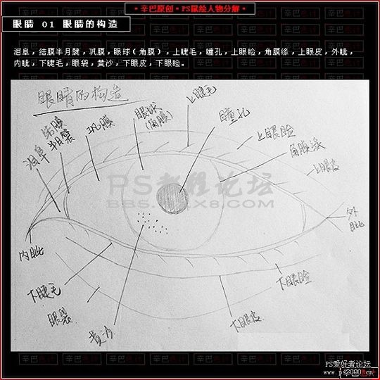 photoshop鼠繪眼睛的詳細步驟