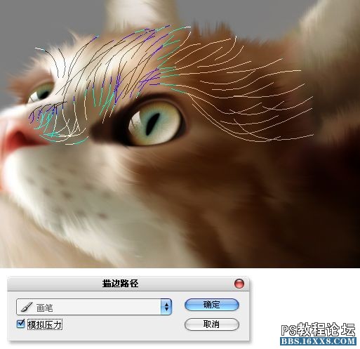 PS毛绒质感写实案例鼠绘小猫制作详解