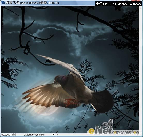 Photoshop照片合成教程:黑夜中飞翔的鸽子
