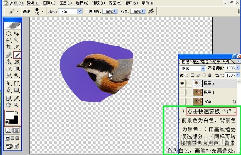 photoshop动图制作教程:会唱歌的小鸟