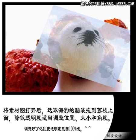 用ps合成海豹脸型的生果