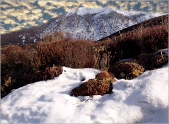 Photoshop合成实例:雪地上的美丽天使