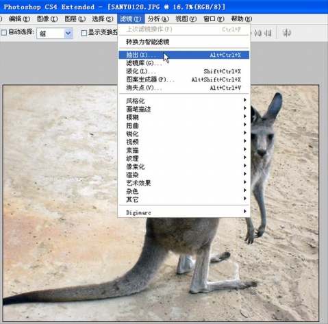 Photoshop cs4教程：抽出滤镜应用