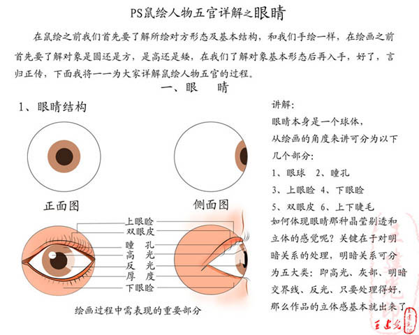 Photoshop详解鼠绘教程:鼠绘眼睛