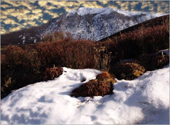 Photoshop合成实例:雪地上的美丽天使