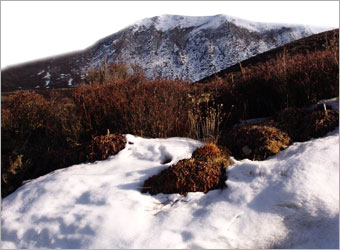 Photoshop合成实例:雪地上的美丽天使