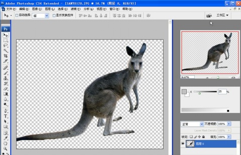 Photoshop cs4教程：抽出滤镜应用