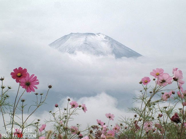 Photoshop调出风景照片柔美的粉红色