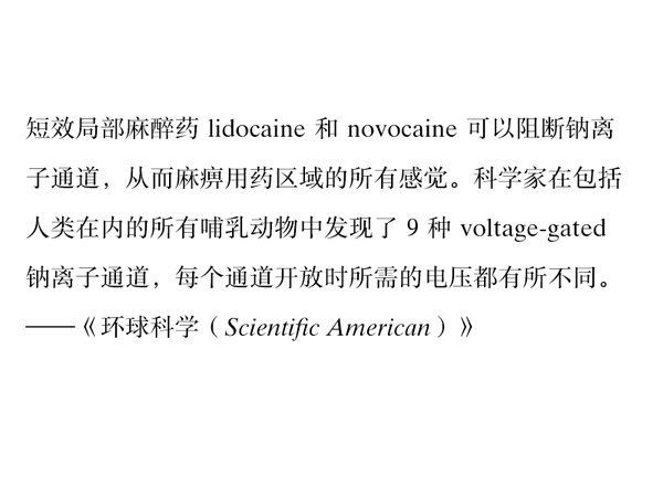 字體知識(shí)，哪種字體最適合快速閱讀？