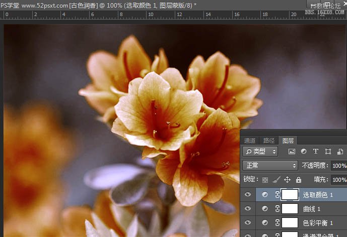 PS cs6调古典韵味花卉教程