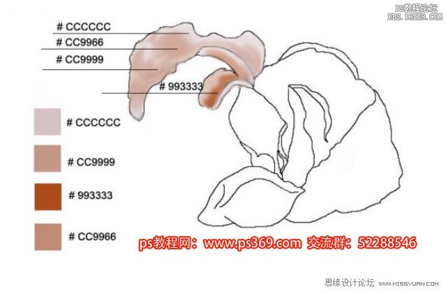 Photoshop繪制母親節康乃馨教程,PS教程,思緣教程網