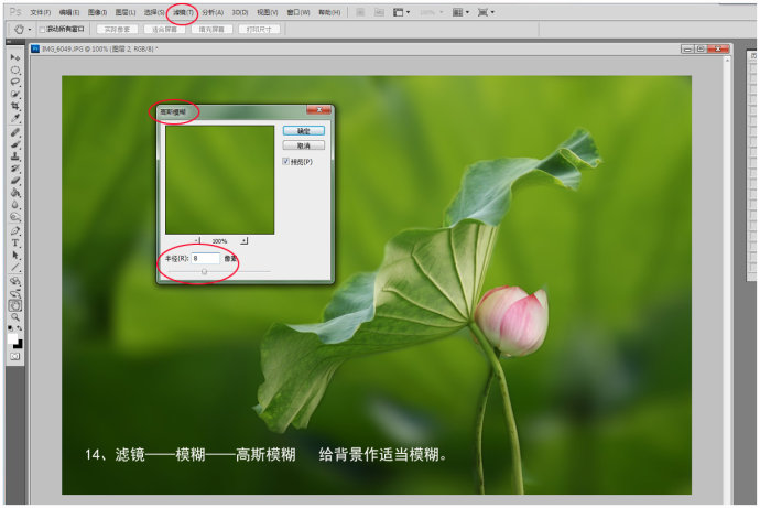 虛化背景，Photoshop做出大光圈虛化效果