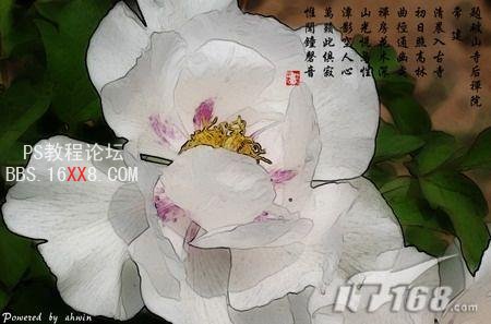 鲜花照片转工笔画的PS教程