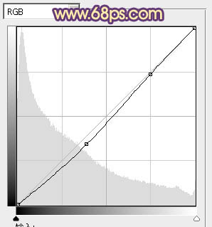 ps調出樹林女孩圖片柔美的暖色調