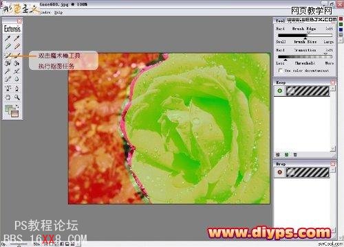 使用PS滤镜插件Mask pro轻松抠出花卉