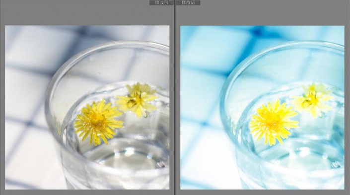 LR调色教程，通过LR给夏日静物调出一种小清新色调