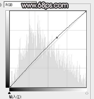 褐色調(diào)，調(diào)古典暗調(diào)褐色人像照片