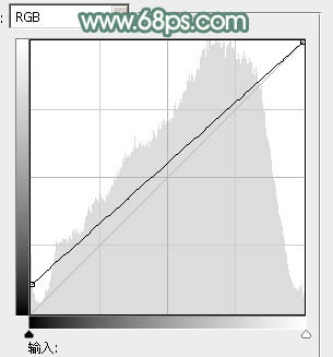 ps調(diào)戴上花草帽的非主流美女教程