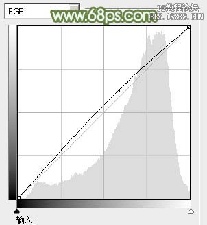 ps通道替換調色實例