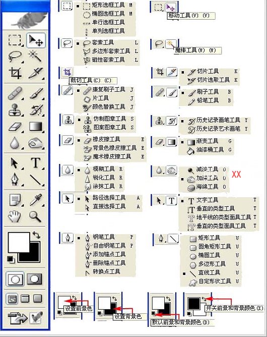 玩摄影的人必须掌握的Photoshop基础操作