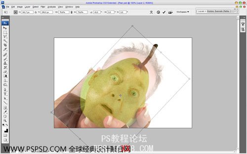 Photoshop合成教程：人面鸭梨创建技巧