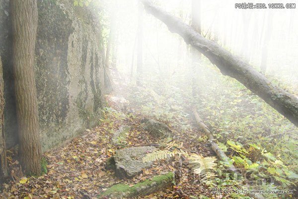 Photoshop合成樹林中的精靈