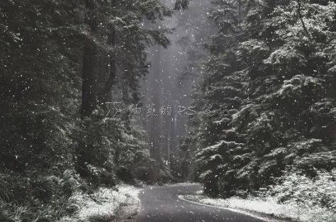 下雪效果，在PS中給照片制作逼真的下雪效果