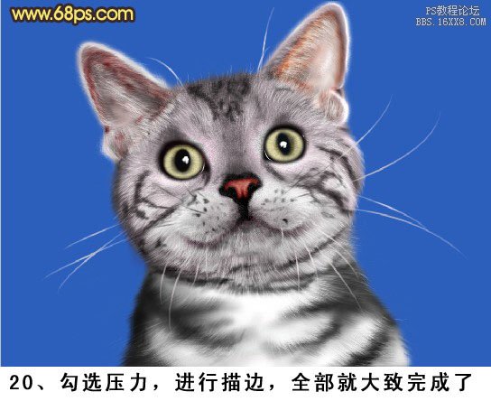 PS鼠绘神态可爱的小灰猫