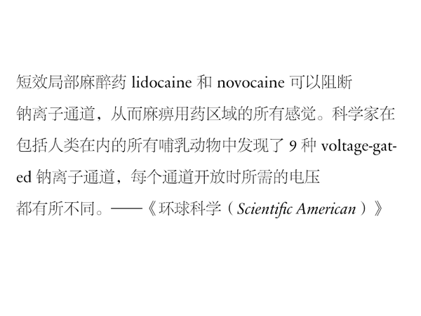 字體知識(shí)，哪種字體最適合快速閱讀？