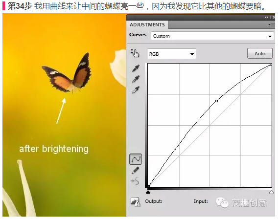 動物惡搞，合成背上長草的蝸牛圖片