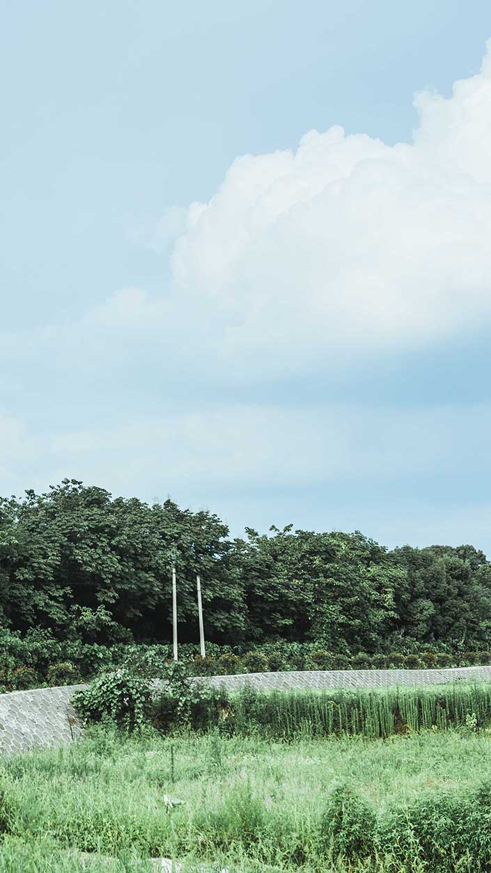 風景調色，調日系野外風景照片教程