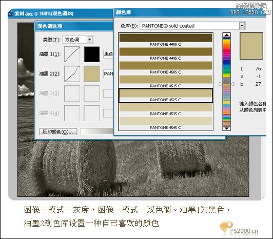 通道混合器調出風景照的高反差黑白