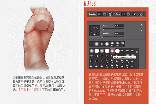 繪畫知識，應該怎么畫漫畫？人體軀干肌肉畫法詳解