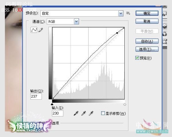 PS手繪教程:仿鼠繪效果的照片美化教程