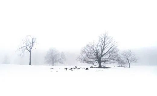 創意合成，合成雪景天使創意照片