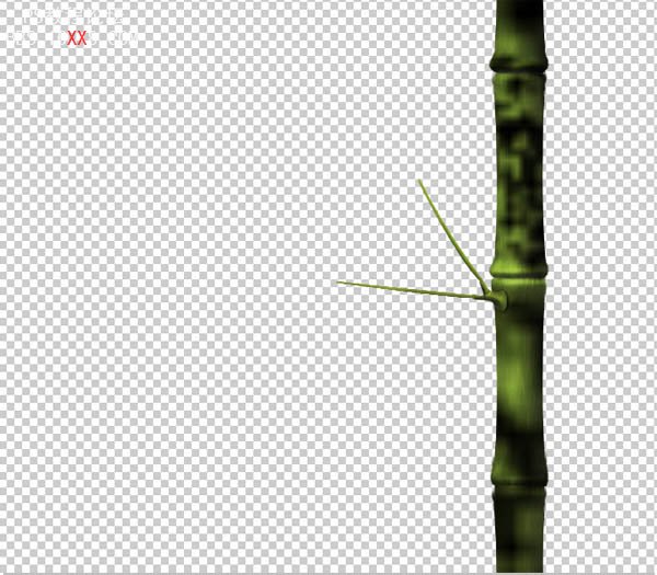 Photoshop教程:制作漂亮的翠竹壁紙