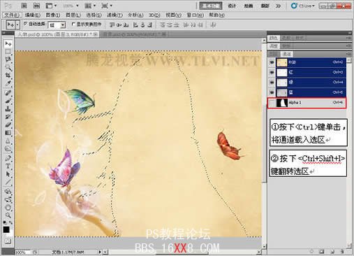 Photoshop CS5中的色調功能使用技巧